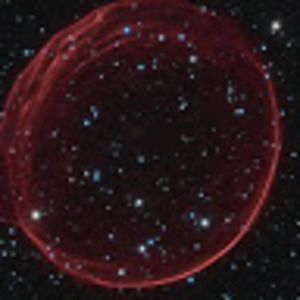 Meet your Posher, Ava